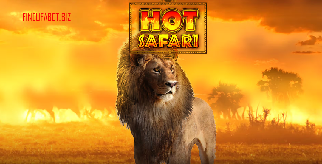 Hot Safari